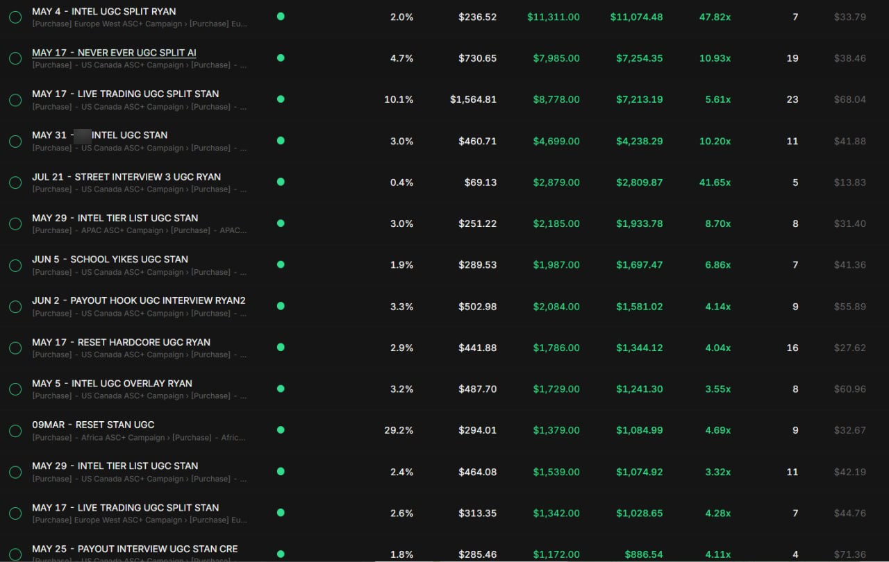 Client ad account, rows 1 to 15, showing spend, revenue, profit and ROAS per ad